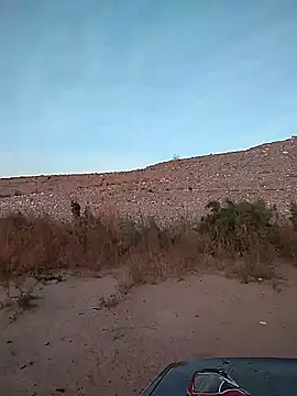 Snapshot of FloppyPickle4u chatting on February 2, 2025, 2:56 pm FloppyPickle4u online show from February 2, 2025, 2:56 pm