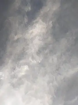 Snapshot of FloppyPickle4u chatting on February 17, 2025, 11:42 pm FloppyPickle4u online show from February 17, 2025, 11:42 pm