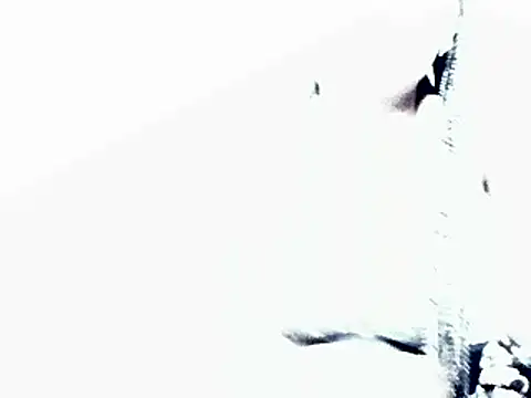 HotJeylee online show from February 4, 2025, 12:22 pm