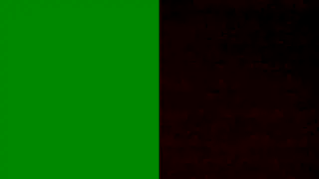 BongChannel online show from January 5, 2025, 6:13 pm