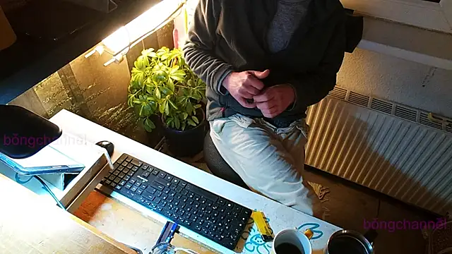 BongChannel online show from January 13, 2025, 10:56 pm