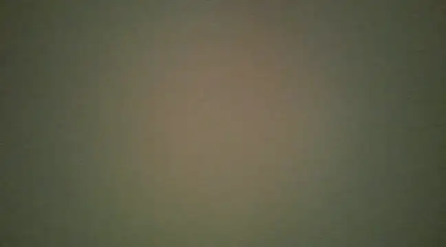 lovense test04 online show from March 13, 2025, 8:37 am