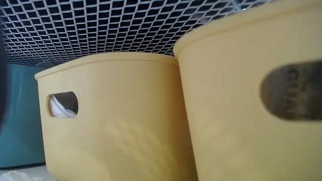 Snapshot of lovense_test04 chatting on February 27, 2026, 7:30 am lovense test04 online show from February 27, 2026, 7:30 am