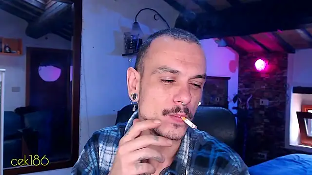 cek 186 online show from November 8, 2025, 8:47 am