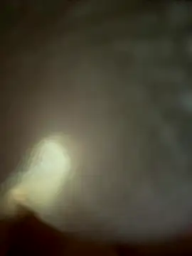 Snapshot of eveangelll chatting on November 4, 2025, 4:55 am eveangelll online show from November 4, 2025, 4:55 am