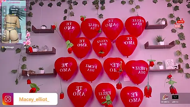 Snapshot of macey_elliot_ chatting on February 15, 2025, 2:55 pm macey elliot online show from February 15, 2025, 2:55 pm