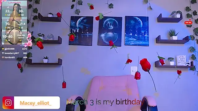 Snapshot of macey_elliot_ chatting on February 26, 2025, 9:48 pm macey elliot online show from February 26, 2025, 9:48 pm