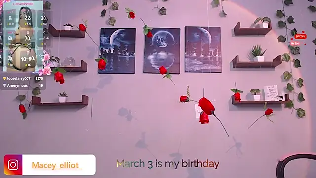 Snapshot of macey_elliot_ chatting on February 27, 2025, 6:09 pm macey elliot online show from February 27, 2025, 6:09 pm