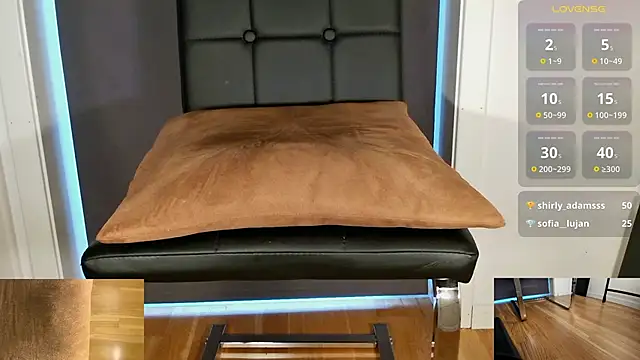 Snapshot of brsrkr chatting on February 22, 2025, 5:02 pm brsrkr online show from February 22, 2025, 5:02 pm