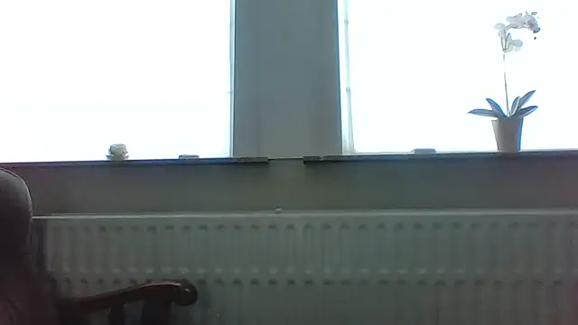 Snapshot of bertolini chatting on May 13, 2026, 4:59 pm bertolini online show from May 13, 2026, 4:59 pm