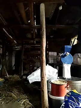 Sarpe84 online show from January 24, 2025, 6:03 am