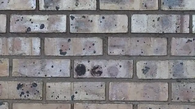 Astoria Moon online show from February 10, 2025, 1:01 pm