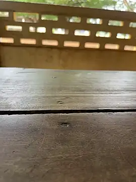 Black-mamba-madingo online show from September 29, 2025, 10:09 am