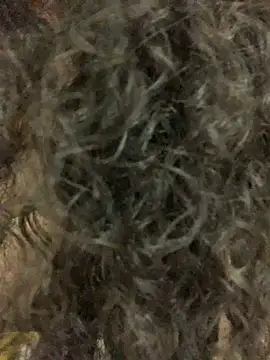 Snapshot of Antoniart_ chatting on February 9, 2025, 6:54 am Antoniart online show from February 9, 2025, 6:54 am