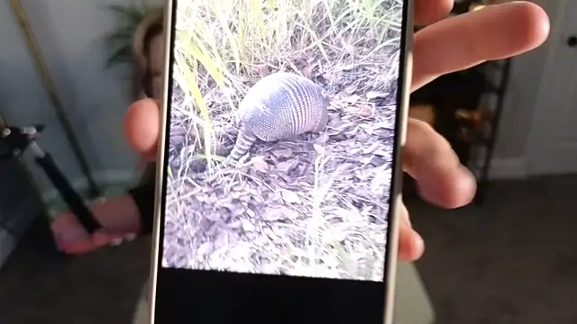 rodeobrii online show from November 17, 2025, 3:34 am