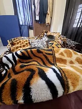 Snapshot of villagb12 chatting on February 13, 2025, 6:09 am villagb12 online show from February 13, 2025, 6:09 am