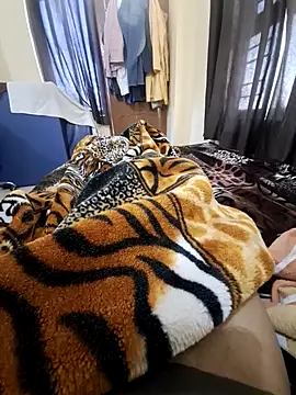 Snapshot of villagb12 chatting on February 14, 2025, 4:15 am villagb12 online show from February 14, 2025, 4:15 am