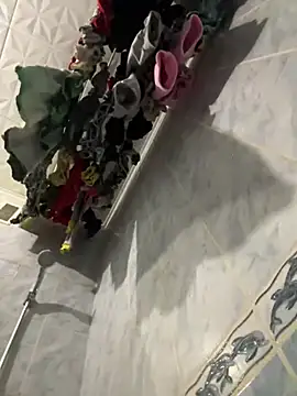 Snapshot of DesireMelissa chatting on January 20, 2025, 4:55 pm DesireMelissa online show from January 20, 2025, 4:55 pm