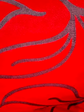 Snapshot of Rozittaa chatting on May 13, 2026, 6:05 pm Rozittaa online show from May 13, 2026, 6:05 pm