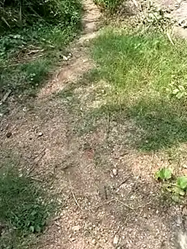 Snapshot of TamizhanKishwin7 chatting on November 9, 2025, 8:01 am TamizhanKishwin7 online show from November 9, 2025, 8:01 am