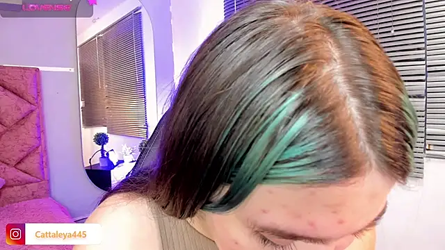 cattaleya    online show from February 19, 2025, 6:44 am