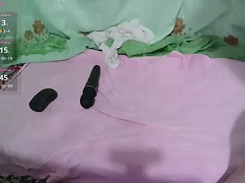 Snapshot of Stumpy_Governor chatting on April 5, 2026, 2:25 pm Stumpy Governor online show from April 5, 2026, 2:25 pm