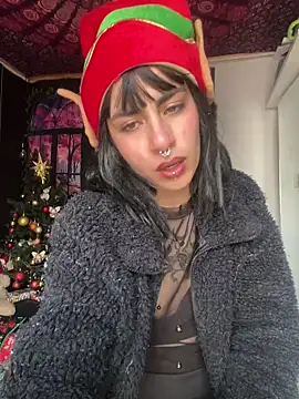  Artemisa X online show from December 27, 2024, 5:37 pm