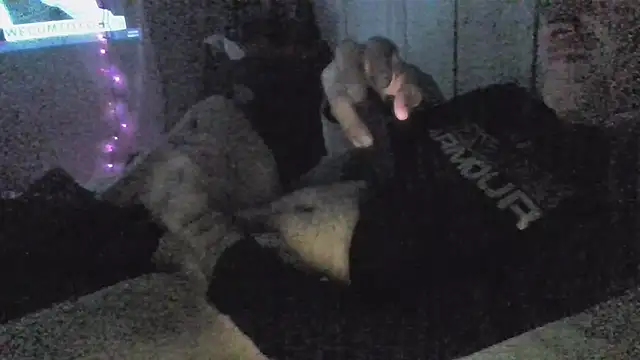 jaxx12369 online show from December 5, 2025, 6:55 am