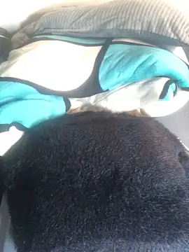 Snapshot of sexy_barbie254 chatting on March 2, 2025, 11:53 pm sexy barbie254 online show from March 2, 2025, 11:53 pm