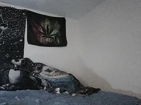 Snapshot of webetokinmo420 chatting on November 29, 2025, 10:29 am webetokinmo420 online show from November 29, 2025, 10:29 am