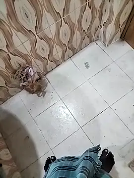 bas1cooks online show from September 30, 2025, 3:22 am