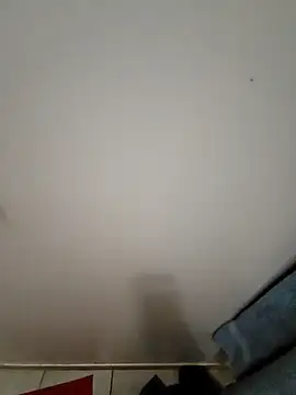 Snapshot of Reinacatchile chatting on December 17, 2024, 1:50 am Reinacatchile online show from December 17, 2024, 1:50 am