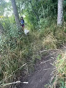 Snapshot of Reinacatchile chatting on January 31, 2025, 11:24 pm Reinacatchile online show from January 31, 2025, 11:24 pm