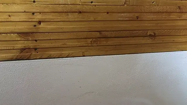 00loret online show from February 20, 2025, 3:30 pm