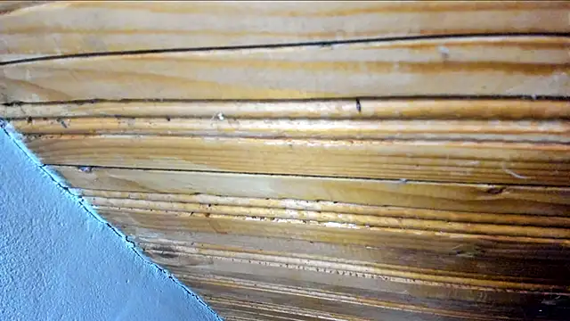 00loret online show from February 21, 2025, 10:39 am