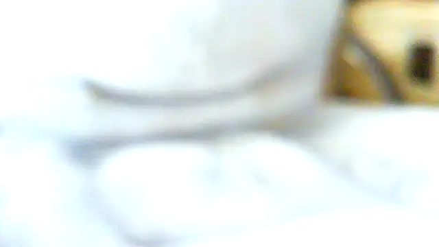 Snapshot of volfic@xh chatting on April 5, 2026, 8:44 am volficxh online show from April 5, 2026, 8:44 am