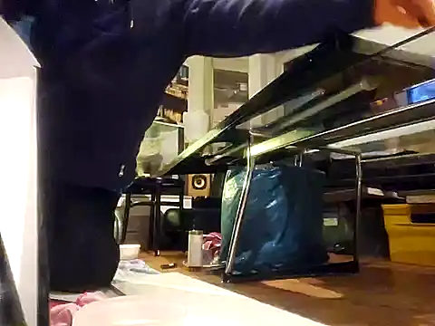 Snapshot of 0815lukas2024 chatting on December 7, 2024, 3:25 am 0815lukas2024 online show from December 7, 2024, 3:25 am