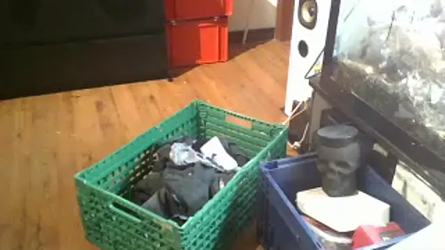 Snapshot of 0815lukas2024 chatting on January 16, 2025, 11:59 pm 0815lukas2024 online show from January 16, 2025, 11:59 pm