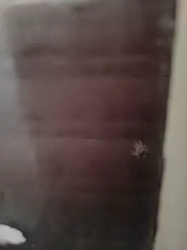 hardgetsex online show from September 29, 2025, 9:08 pm