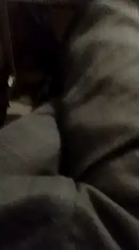 Snapshot of myhot1551 chatting on February 15, 2025, 4:25 am myhot1551 online show from February 15, 2025, 4:25 am