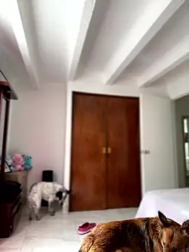 Salome golvert online show from January 9, 2026, 3:48 pm