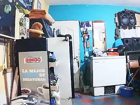 DiAntool online show from January 18, 2026, 5:44 am