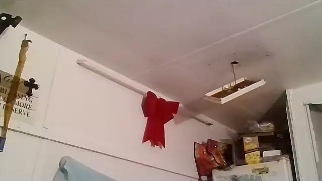 Snapshot of allissonw13 chatting on January 25, 2025, 4:23 am allissonw13 online show from January 25, 2025, 4:23 am