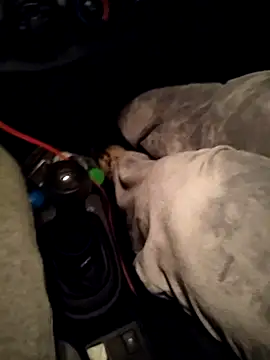 Snapshot of A_man_in_public chatting on April 10, 2026, 10:47 pm A man in public online show from April 10, 2026, 10:47 pm