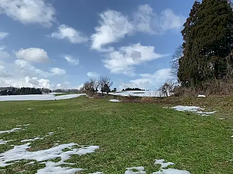 ge3noxxx online show from March 6, 2025, 12:43 am