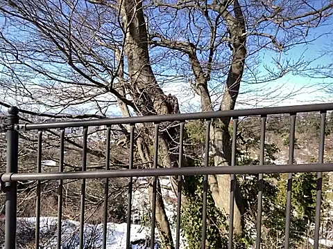 ge3noxxx online show from January 7, 2026, 2:36 am