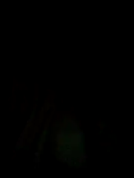 deepinnnnn online show from October 14, 2025, 6:03 am