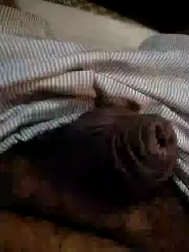 Kinkyluvi online show from January 6, 2025, 11:42 pm