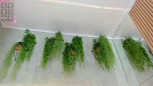 Snapshot of Lana_Lann chatting on January 11, 2025, 6:01 pm Lana Lann online show from January 11, 2025, 6:01 pm