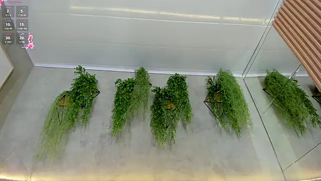 Snapshot of Lana_Lann chatting on March 15, 2025, 3:06 pm Lana Lann online show from March 15, 2025, 3:06 pm